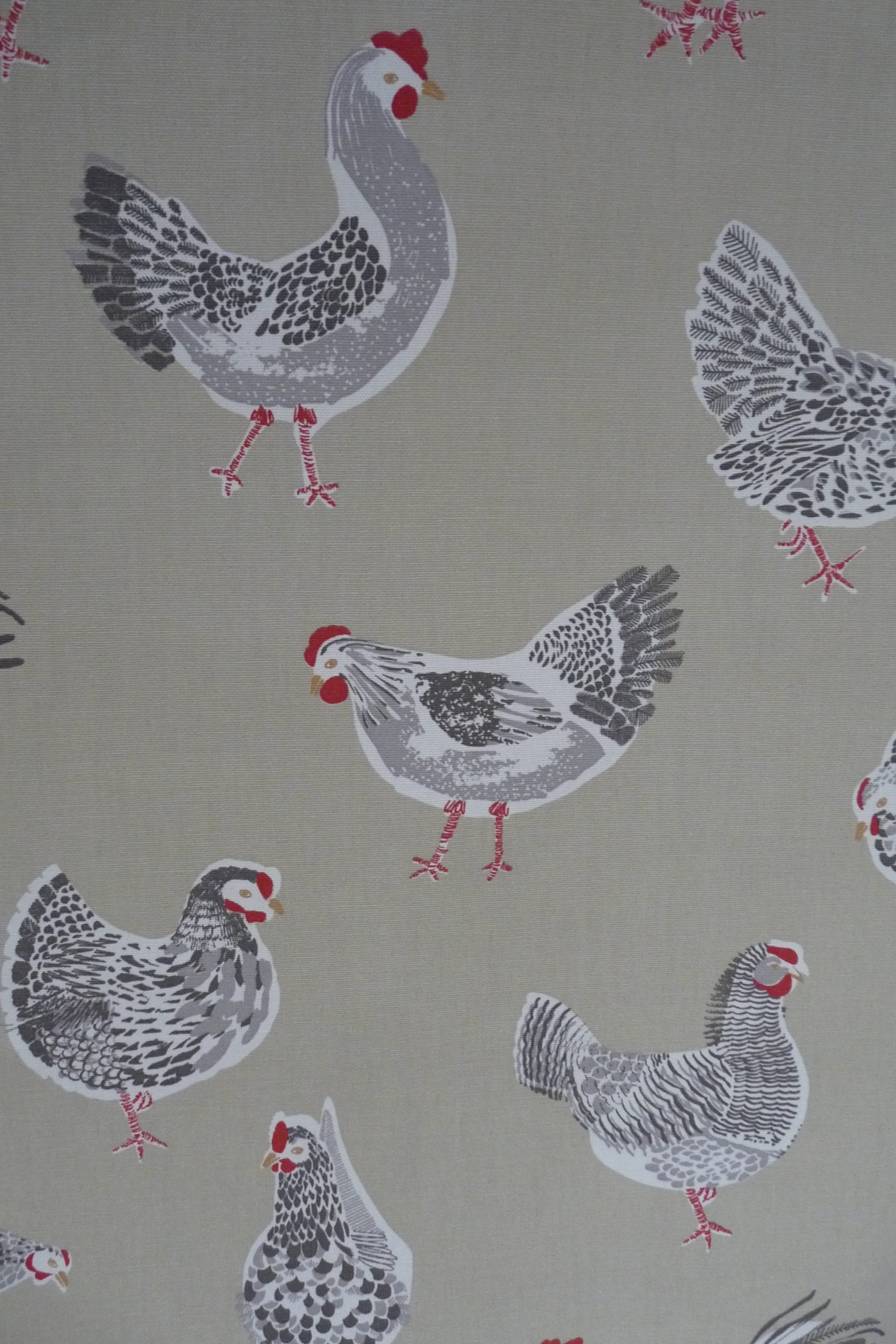 Chickens
